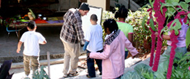 Green School Design -Cost-Effective, Healthy, and Better for Education