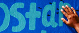 EcoStars