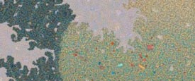 An Abiding Ocean of Love: A Conversation with Artist Chris Jordan