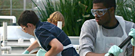 center for ecoliteracy - campuses and buildings that teach