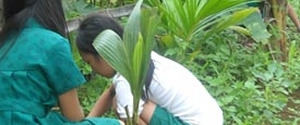 Roy Vizcara Elementary School