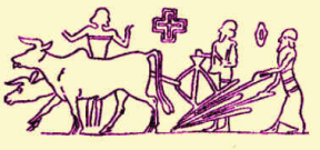 Sumerian Agriculture