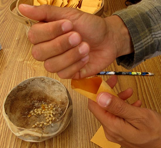 hawaii - seed saving detail