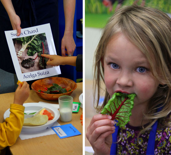 center for ecoliteracy - migrating the food lab program: from davenport to pescadero center for ecoliteracy - migrating the food lab program: from davenport to pescadero