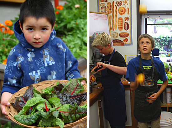 center for ecoliteracy - migrating the food lab program: from davenport to pescadero center for ecoliteracy - migrating the food lab program: from davenport to pescadero
