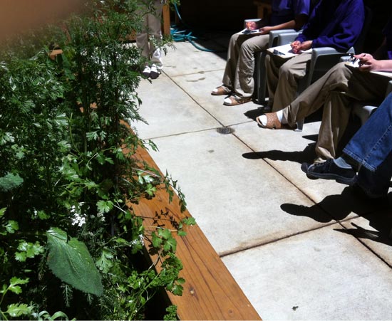 center for ecoliteracy - A Garden Grows in Juvenile Hall center for ecoliteracy - A Garden Grows in Juvenile Hall