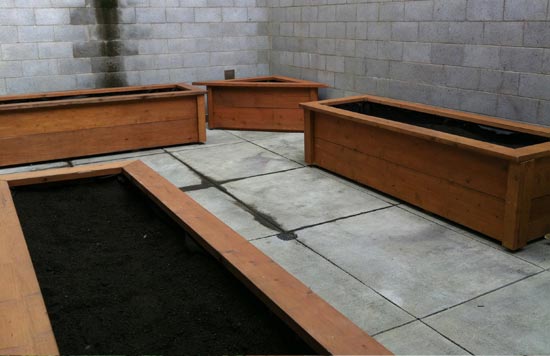 center for ecoliteracy - A Garden Grows in Juvenile Hall center for ecoliteracy - A Garden Grows in Juvenile Hall