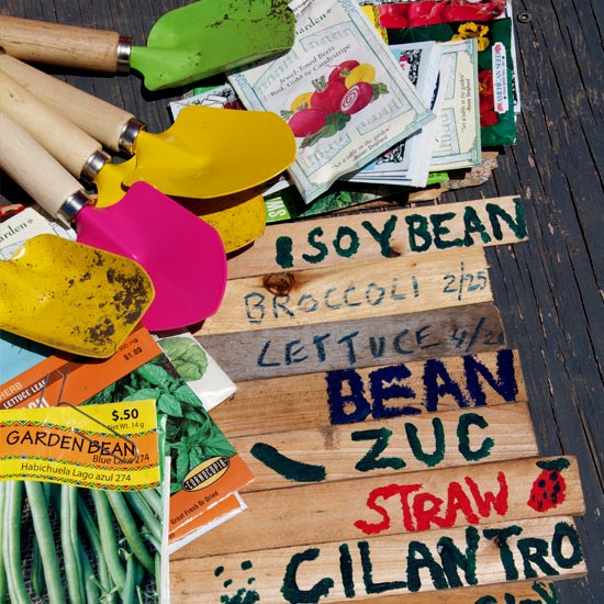 center for ecoliteracy - Migrating the Food Lab Program: From Davenport to Pesca center for ecoliteracy - Migrating the Food Lab Program: From Davenport to Pesca