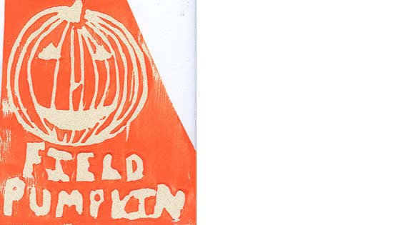 Troy Howard Pumpkin seed packet