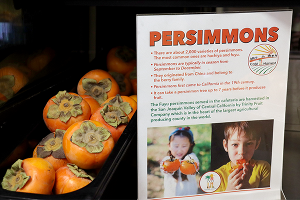 persimmons