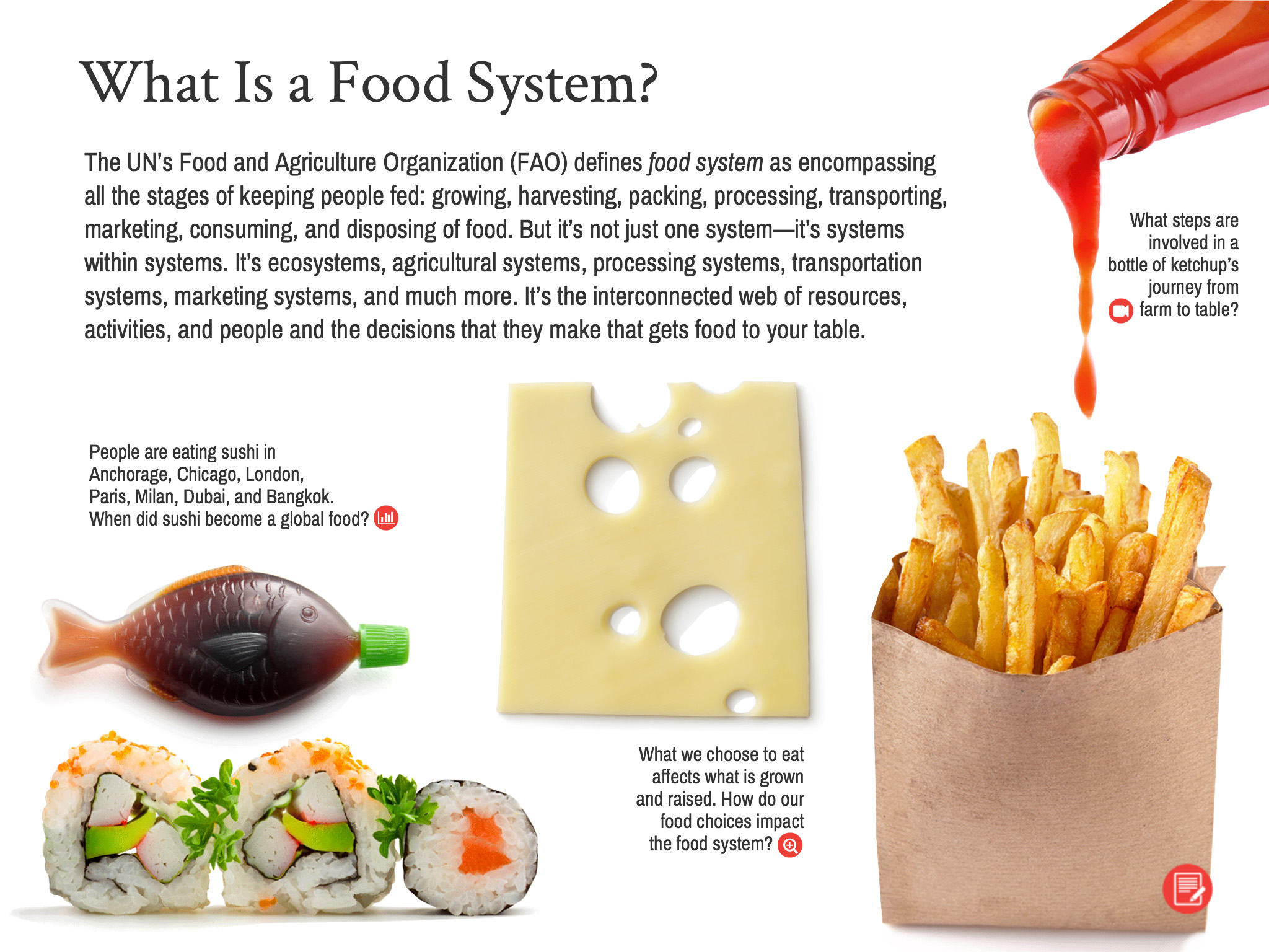 Food and Climate Change Interactive Guide Sample Page