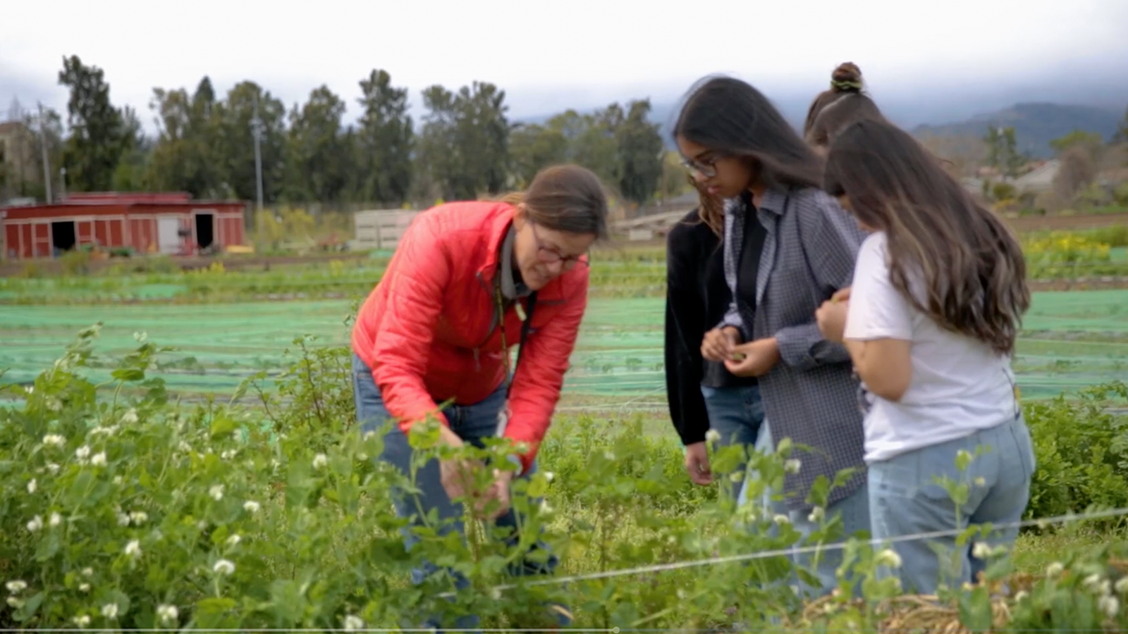 Bay Area Bountiful: The Center for Ecoliteracy | ecoliteracy.org