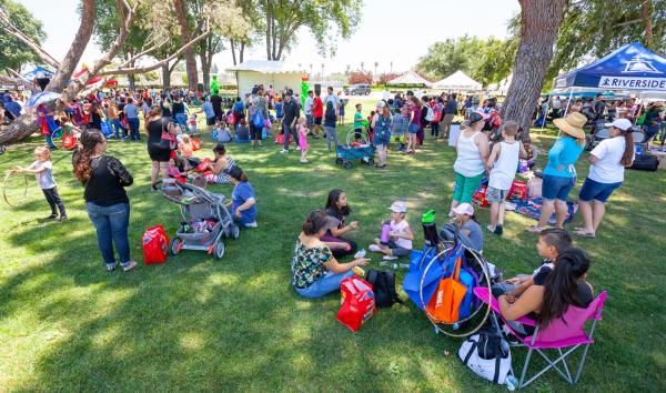 Build Regional Support for Summer Meals