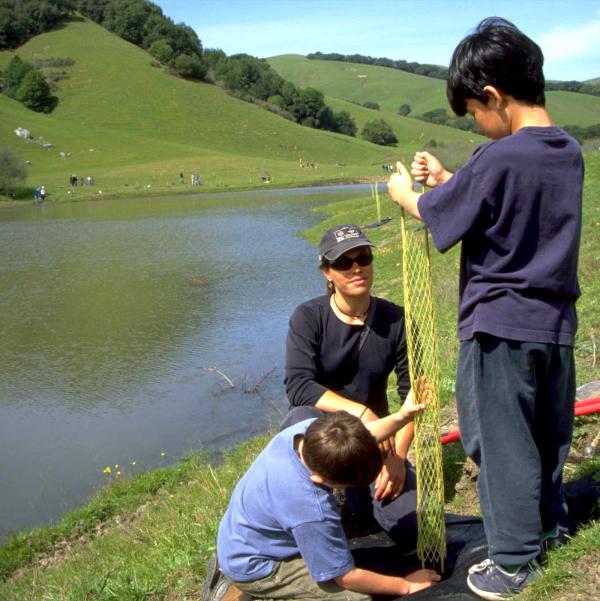 Ecosystem Damage and How It Can Be Restored