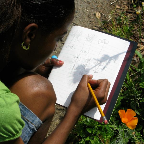 Imagining an Urban Nature Agenda