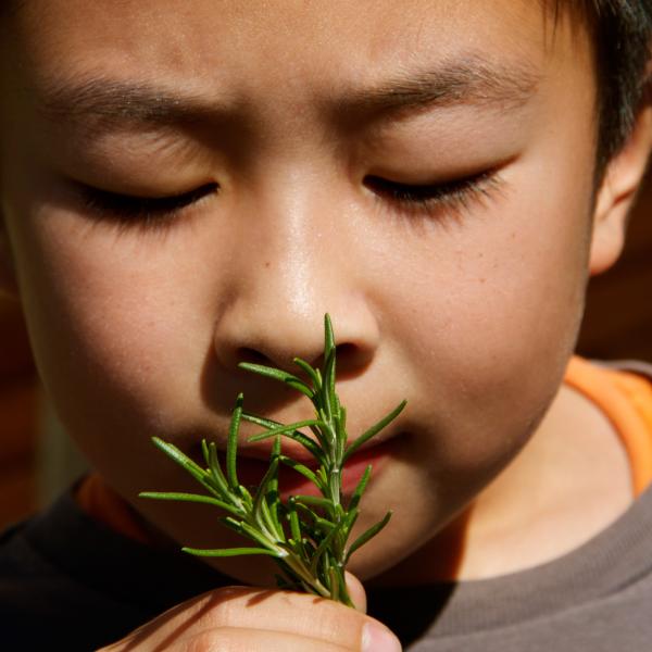 Students Identify Interactions in the Garden