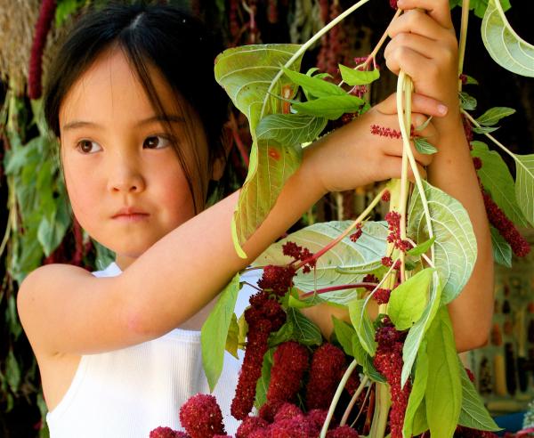 Linking Food, Culture, Health, and the Environment