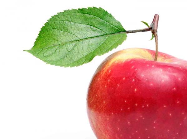 Mediations on an Apple