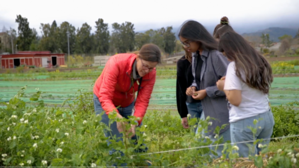 Bay Area Bountiful: The Center For Ecoliteracy | Ecoliteracy.org