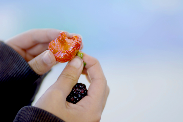 student holds strawberry