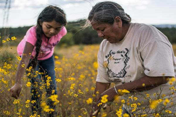 Ecoliteracy.org | Education For The Sustainability Of People And The Planet