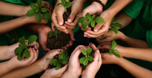 What Comes after Diversity, Globalism, and Sustainability?